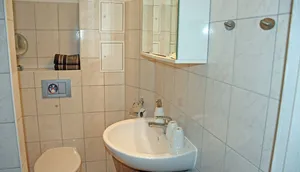 Badezimmer mit Dusche, WC und Waschtisch