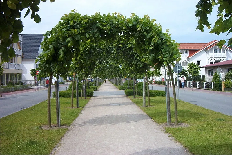 Baabe – Kurpark und Strandpromenade